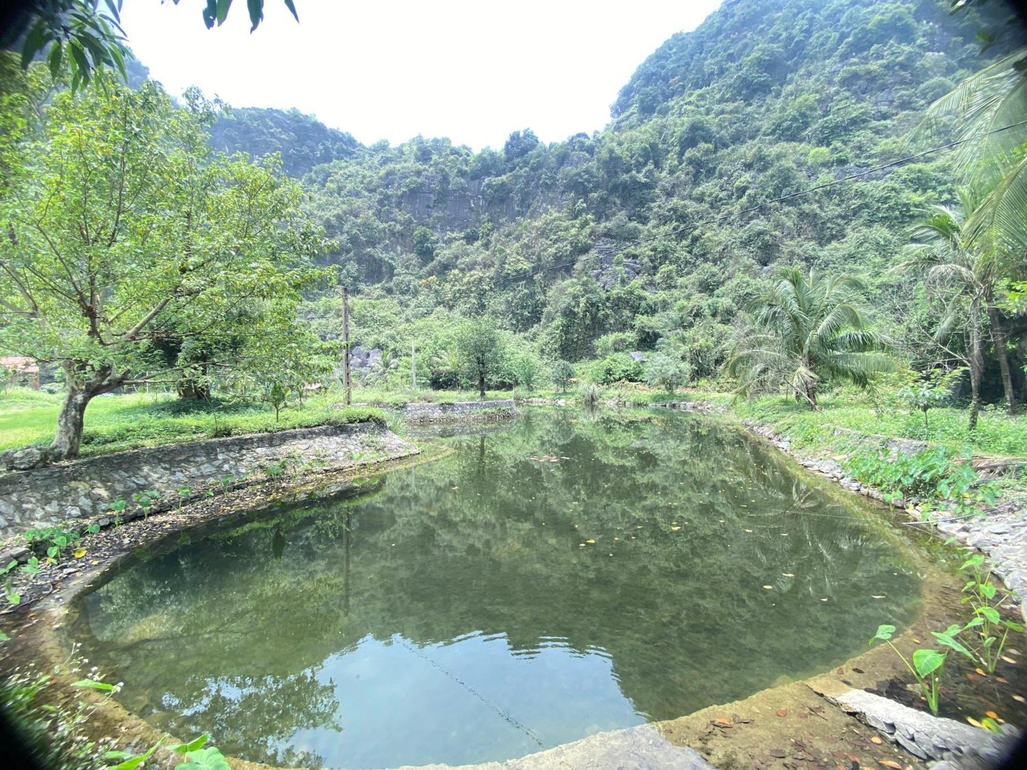 Tam Coc Moutainside Homestay Ниньбинь Экстерьер фото