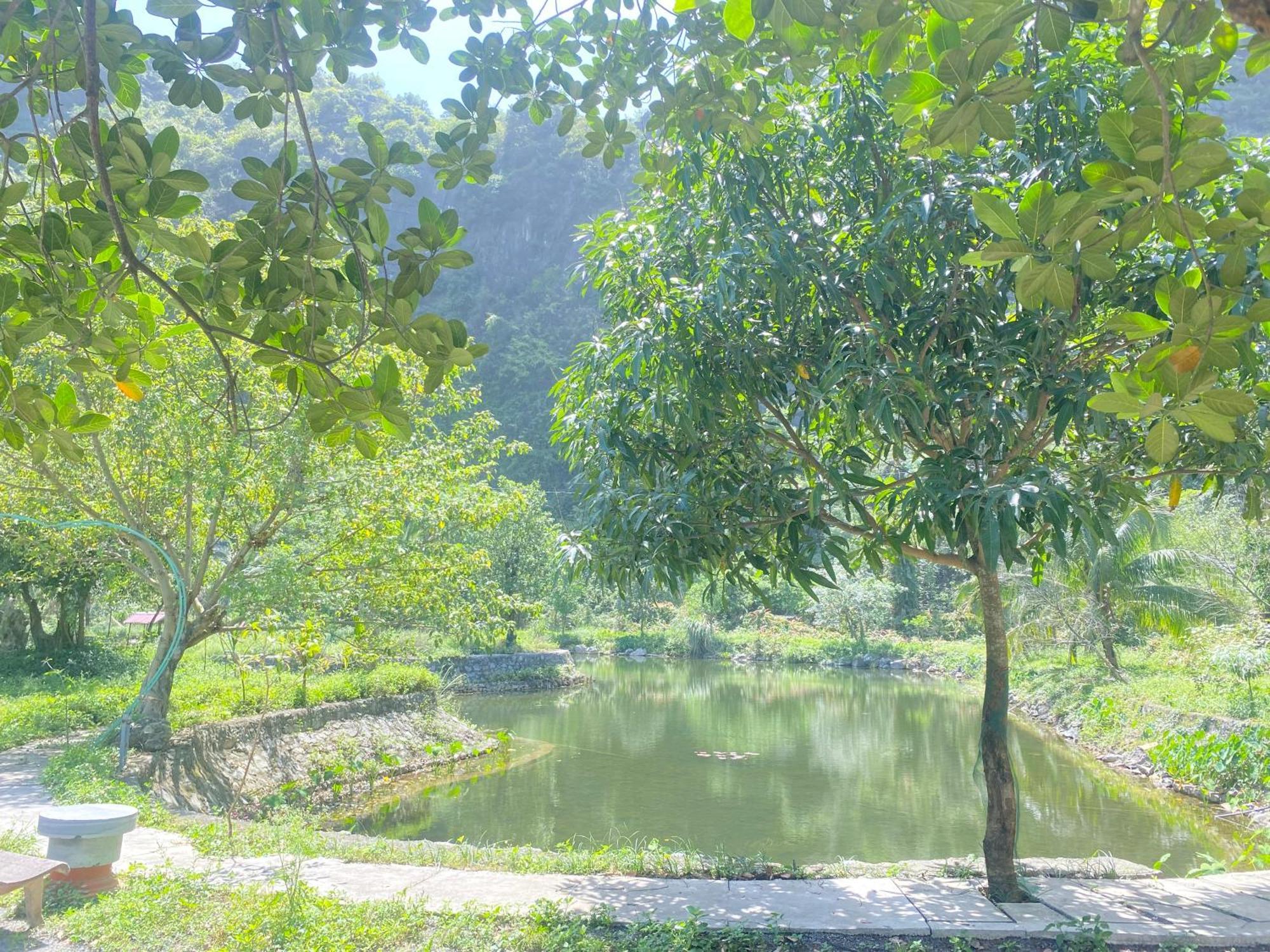 Tam Coc Moutainside Homestay Ниньбинь Экстерьер фото